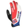 Guante Nórdico Kinetixx Eike Norway 1 Guante Nórdico Kinetixx Eike Norway -Esquí Equipos Tienda 0aac5724b131946400e5f6c66c3c191ca6b993b7 VH21KINEACC002 0