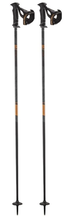 Bastones Salomon Icon Ergo S3 Black