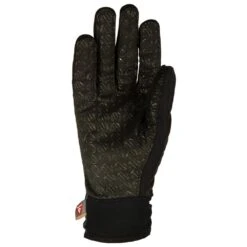 Guante Nórdico Northug Liberec Racing Insulated Slim Dark Grey -Esquí Equipos Tienda 502bd8b4466dbcea2ea8c00cd91a583081f5aa38 VH20NORTACC006 1