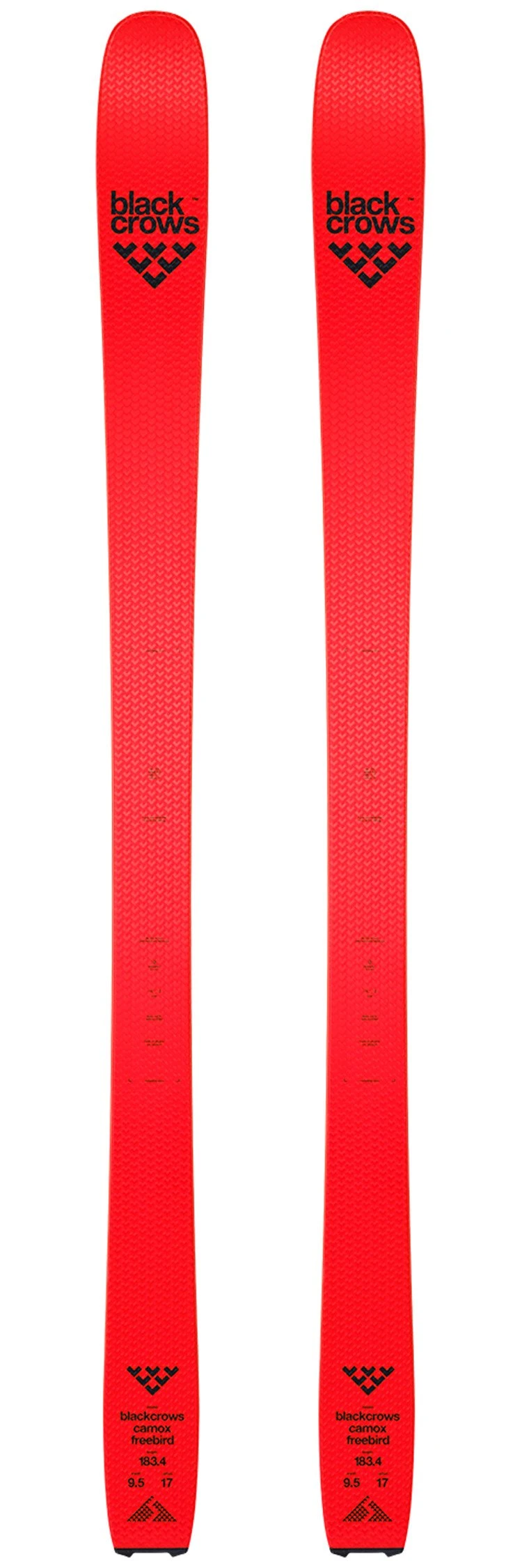 BLACK CROWS Pack Esquí Travesía Camox Freebird + Fij 3 BLACK CROWS Pack Esquí Travesía Camox Freebird + Fij
