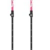 Bastones Salomon Mtn Jr Pink White -Esquí Equipos Tienda 778ba888619471fc04b740c2b896399155059a35 H22SALOBAT182289 SALO0464708 0