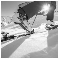 Botas De Esquí De Travesía Dynafit Radical Pro Rock Khaki Fluo Orange -Esquí Equipos Tienda 8c672d8553bbd6d3e0fe20010ffffb73b6337d53 H24DYNACHA405561 904