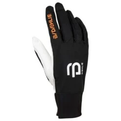 Guante Nórdico Bjorn Daehlie Glove Race Light Black -Esquí Equipos Tienda debfe0cecc9b9ba8347f66b3dd694dcc4e727d2c H22BJORACC2217031 0 1
