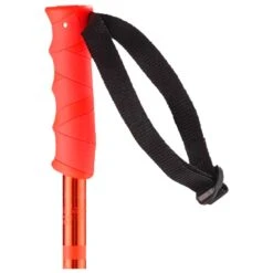 Bastones Salomon Hacker Orange -Esquí Equipos Tienda df4d3143352a0e67513419806d8474d54dddf7df H23SALOBAT2256101 902