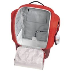 Atomic Pack Double Ski Bag Black Grey + -Esquí Equipos Tienda e3ed0b89a1eae89ae83762da5ee6ff66050f768e H22ATOMACC194240 ATOM0554530 10